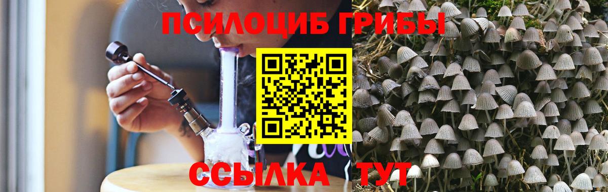 Галлюциногенные грибы GOLDEN TEACHER Вязники