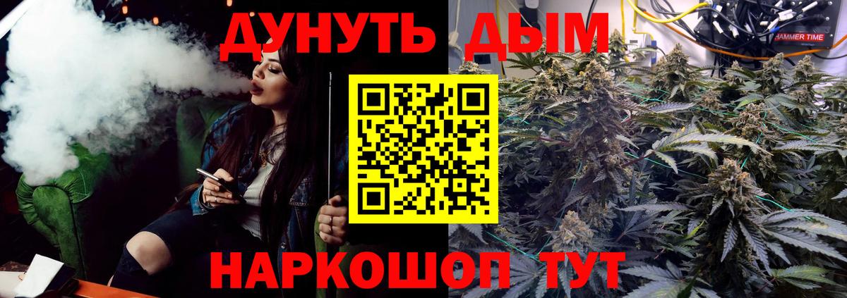 Бошки Шишки VHQ  Бошки марихуана White Widow  Вязники  Вход с VPN  МАРИХУАНА OG Kush  Бошки марихуана планчик 